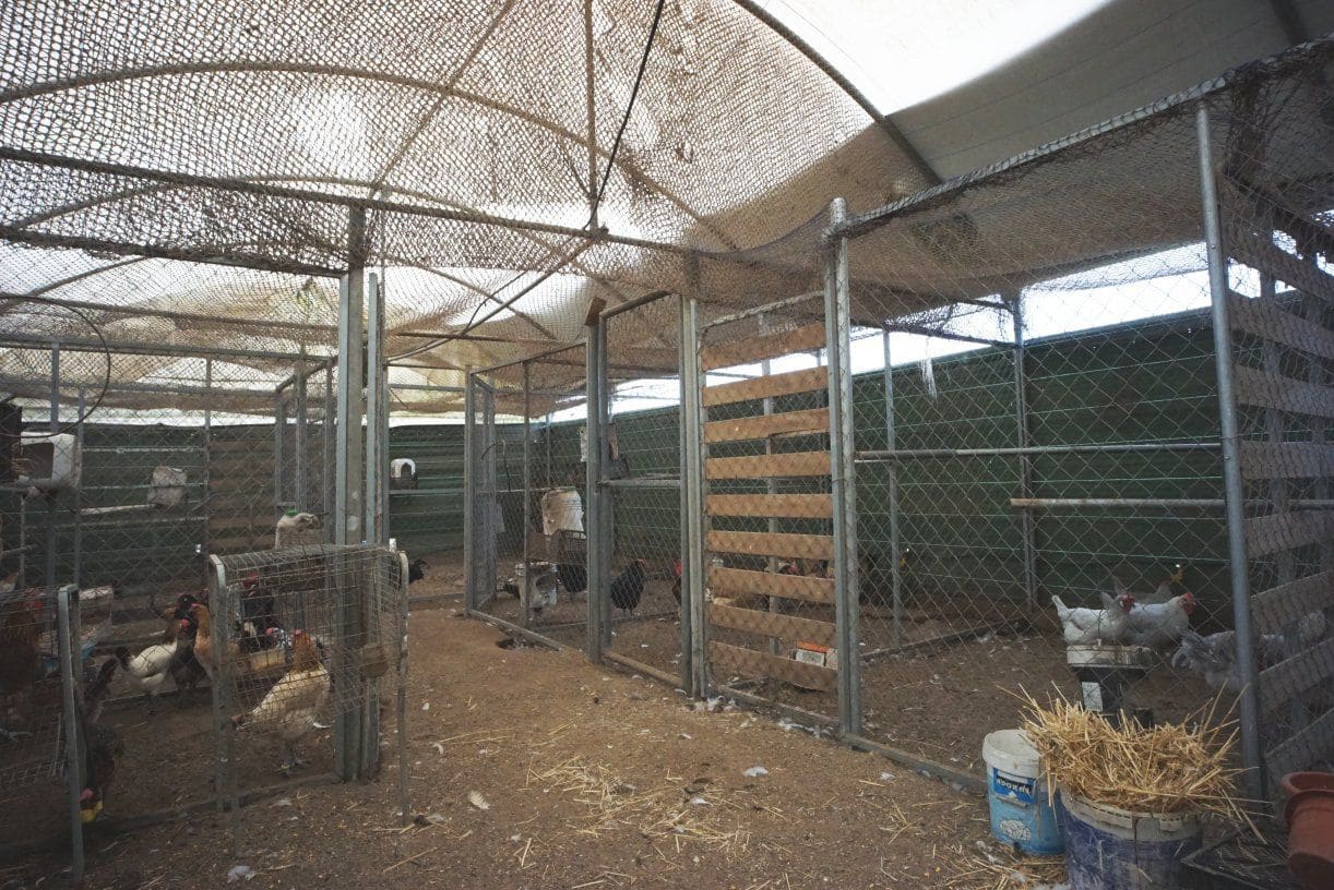 1 soverom Finca/Herregård til salgs i Rota med garasje - € 650 000 (Ref: 5014759)