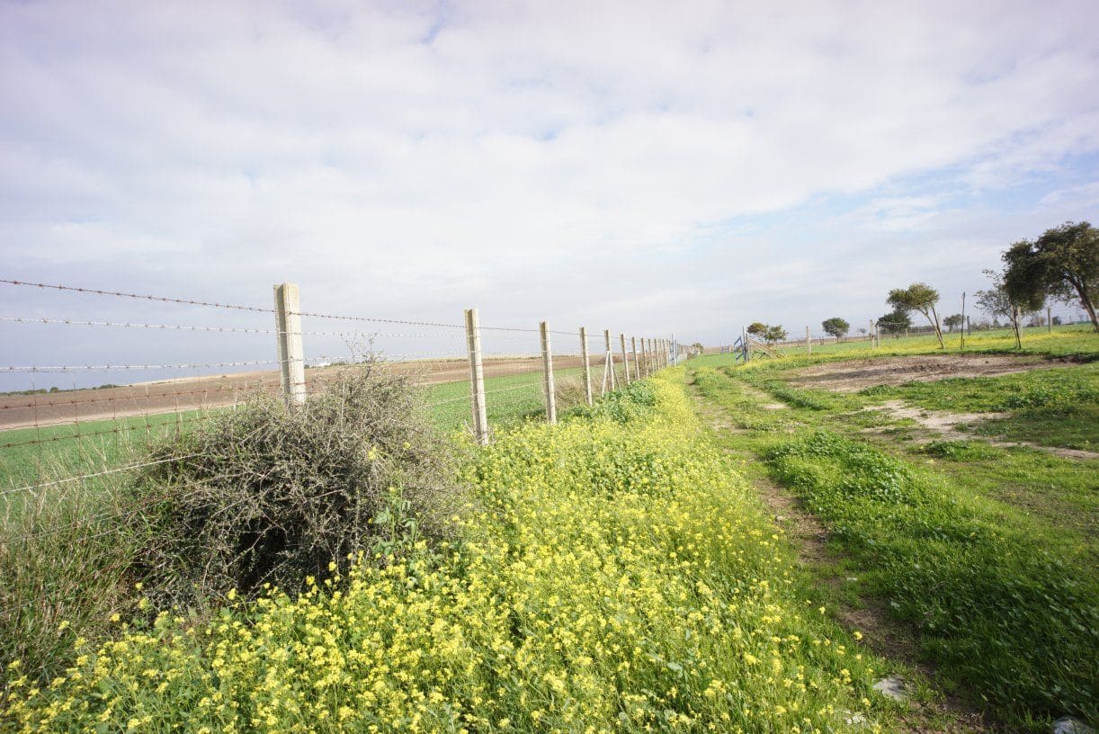 1 soverom Finca/Herregård til salgs i Rota med garasje - € 650 000 (Ref: 5014759)