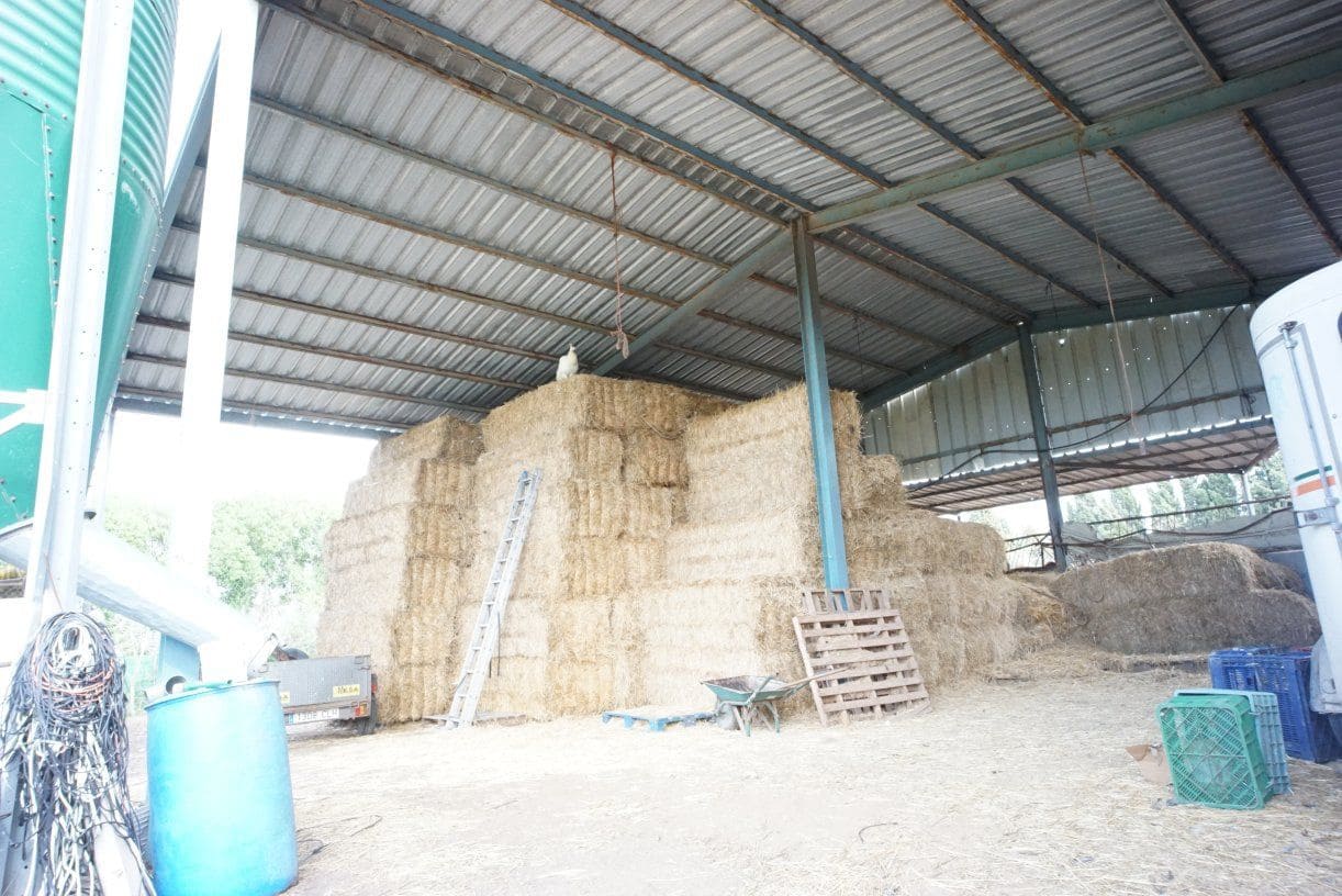 1 soverom Finca/Herregård til salgs i Rota med garasje - € 650 000 (Ref: 5014759)