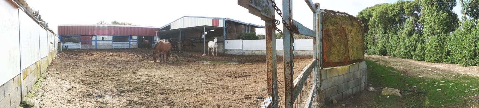 1 soverom Finca/Herregård til salgs i Rota med garasje - € 650 000 (Ref: 5014759)