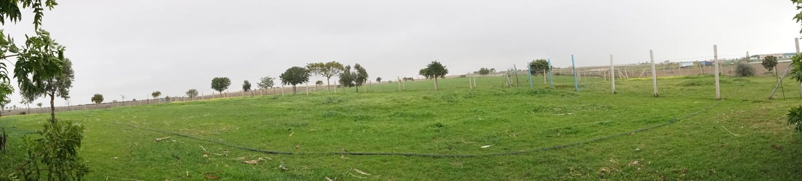 1 soverom Finca/Herregård til salgs i Rota med garasje - € 650 000 (Ref: 5014759)