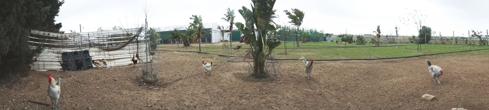 1 soverom Finca/Herregård til salgs i Rota med garasje - € 650 000 (Ref: 5014759)