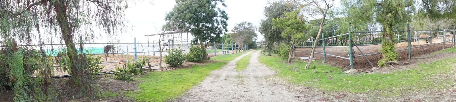 1 soverom Finca/Herregård til salgs i Rota med garasje - € 650 000 (Ref: 5014759)