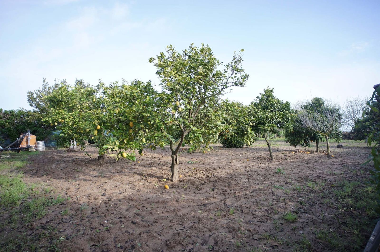 2 sovrum Finca/Hus på landet till salu i Rota med garage - 309 000 € (Ref: 9317211)