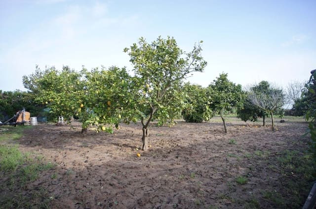 2 chambre Finca/Maison de Campagne à vendre à Rota avec garage - 309 000 € (Ref: 9317211)