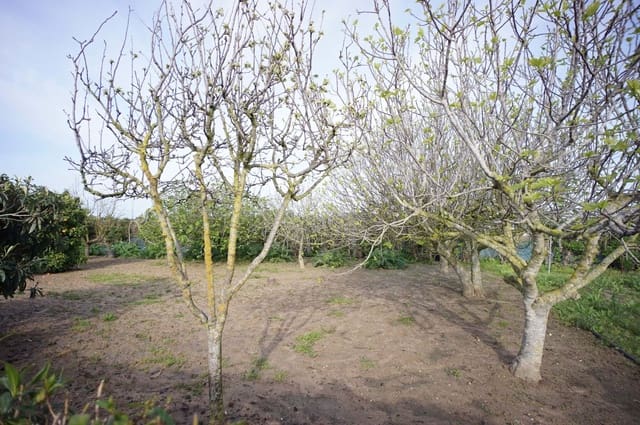 2 chambre Finca/Maison de Campagne à vendre à Rota avec garage - 309 000 € (Ref: 9317211)