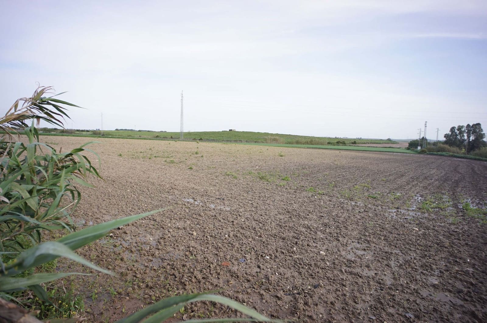 2 sovrum Finca/Hus på landet till salu i Rota med garage - 309 000 € (Ref: 9317211)