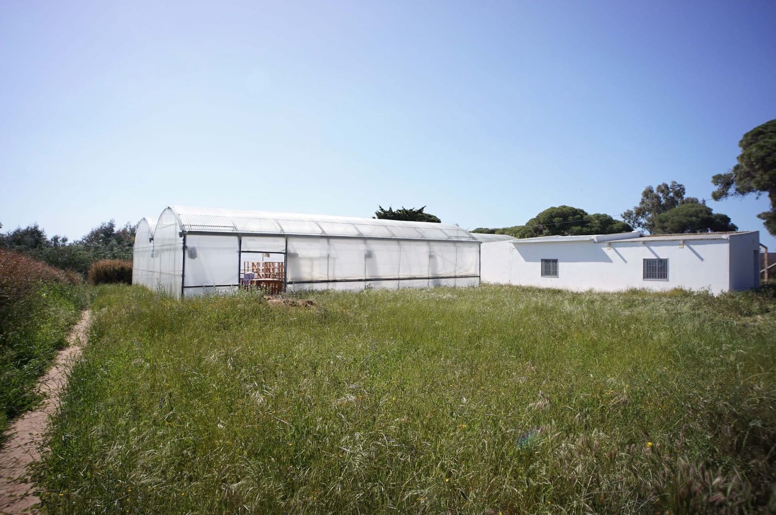 3 soverom Finca/Herregård til salgs i Chipiona - € 250 000 (Ref: 9426866)