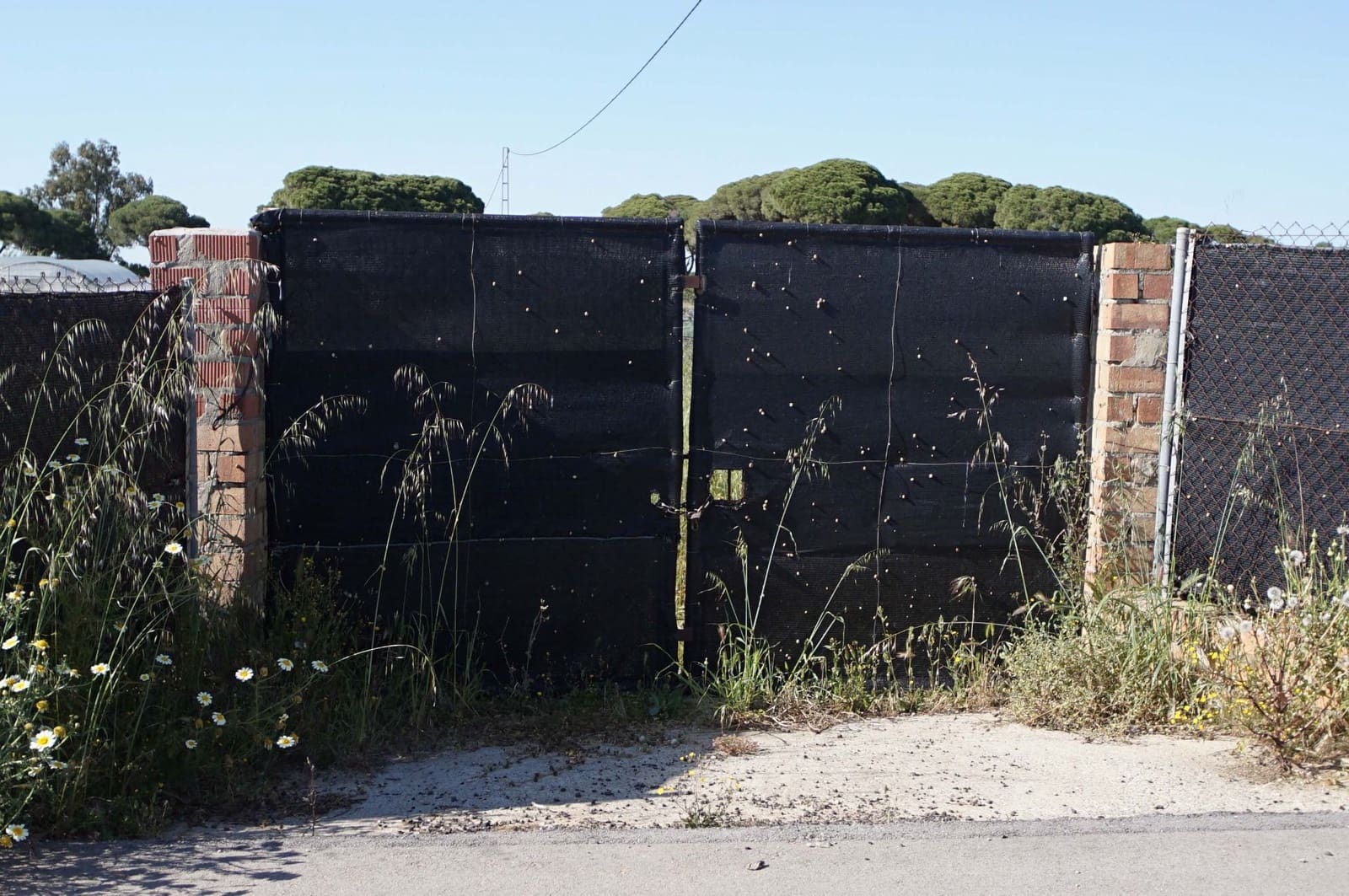 3 soverom Finca/Herregård til salgs i Chipiona - € 250 000 (Ref: 9426866)