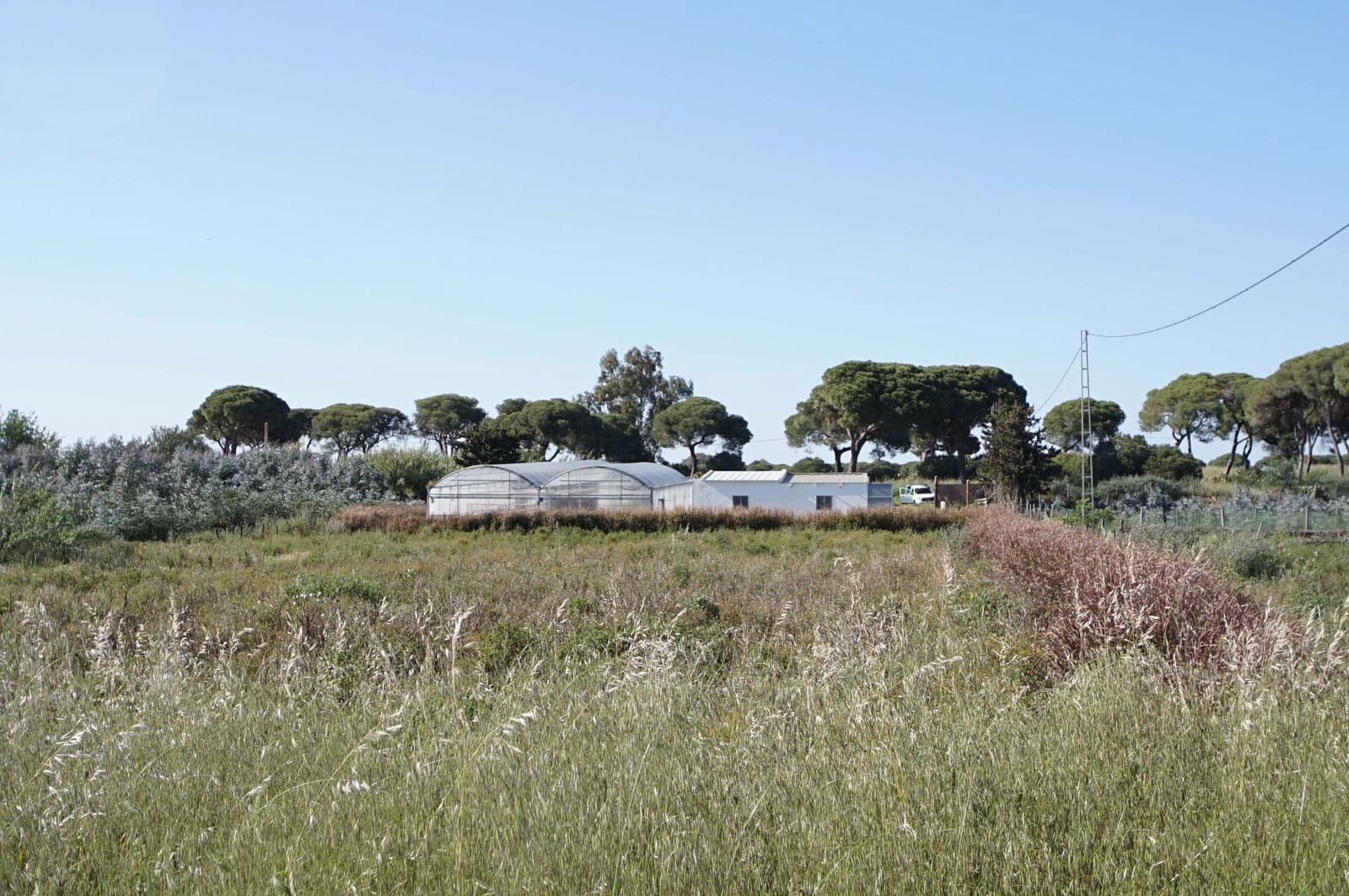 3 soverom Finca/Herregård til salgs i Chipiona - € 250 000 (Ref: 9426866)