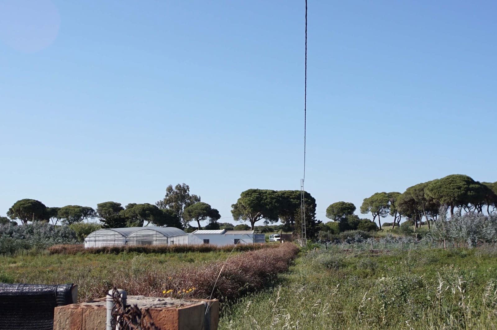 3 soverom Finca/Herregård til salgs i Chipiona - € 250 000 (Ref: 9426866)