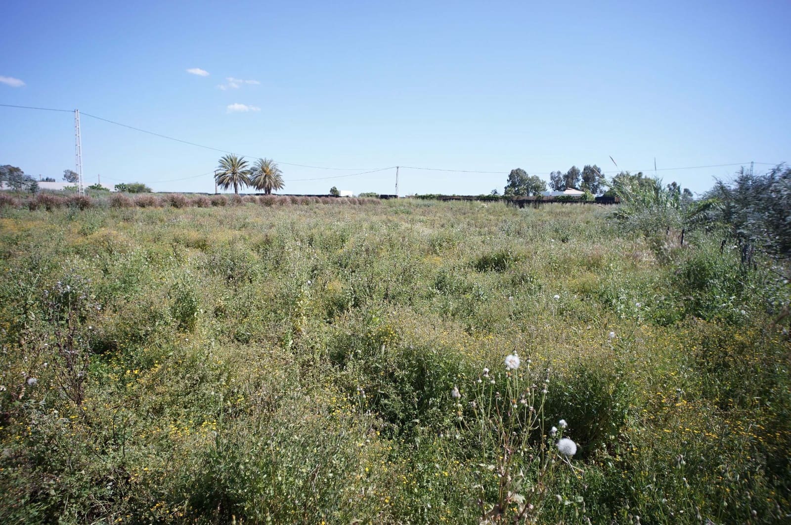 3 soverom Finca/Herregård til salgs i Chipiona - € 250 000 (Ref: 9426866)