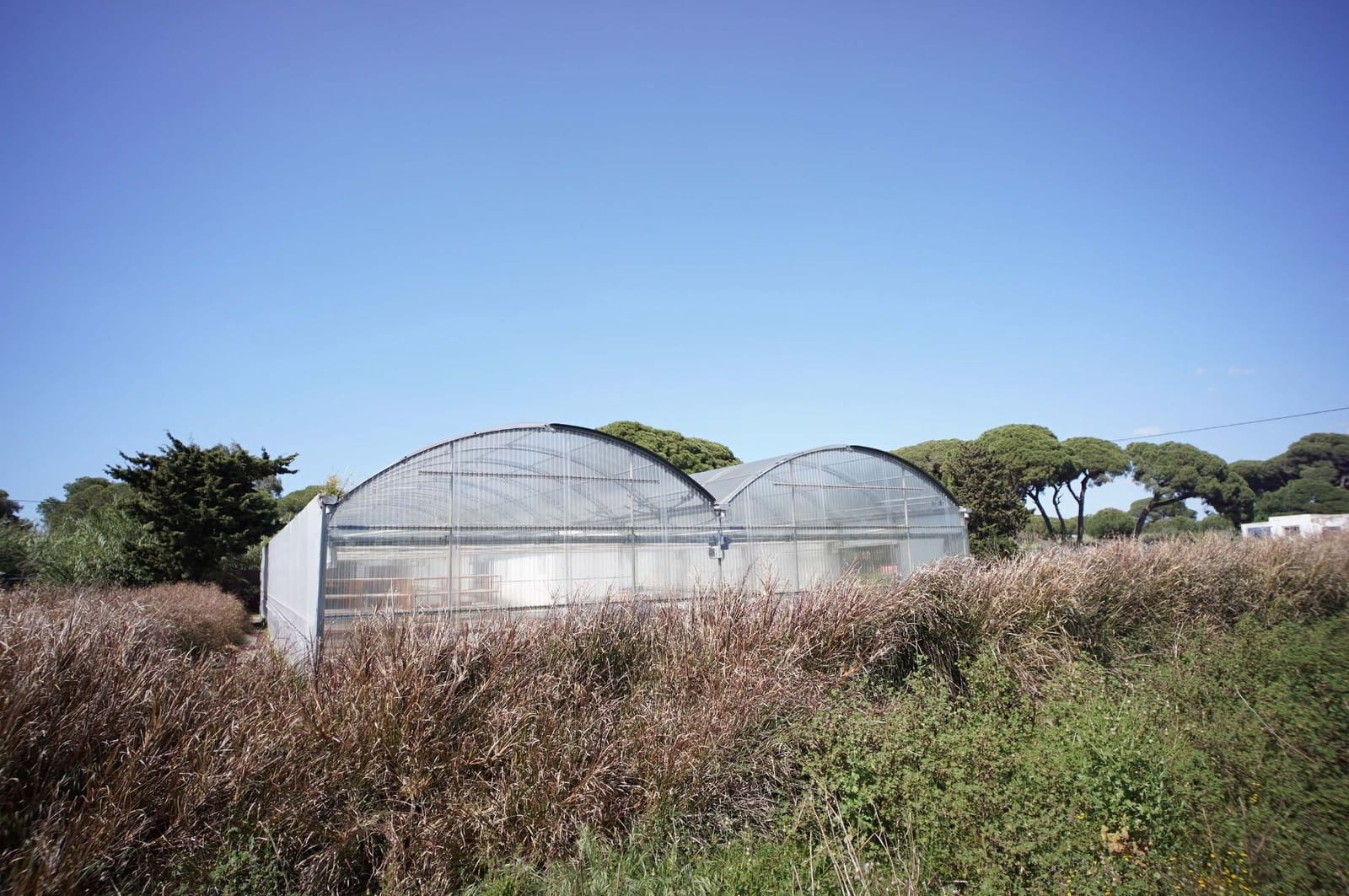 3 soverom Finca/Herregård til salgs i Chipiona - € 250 000 (Ref: 9426866)