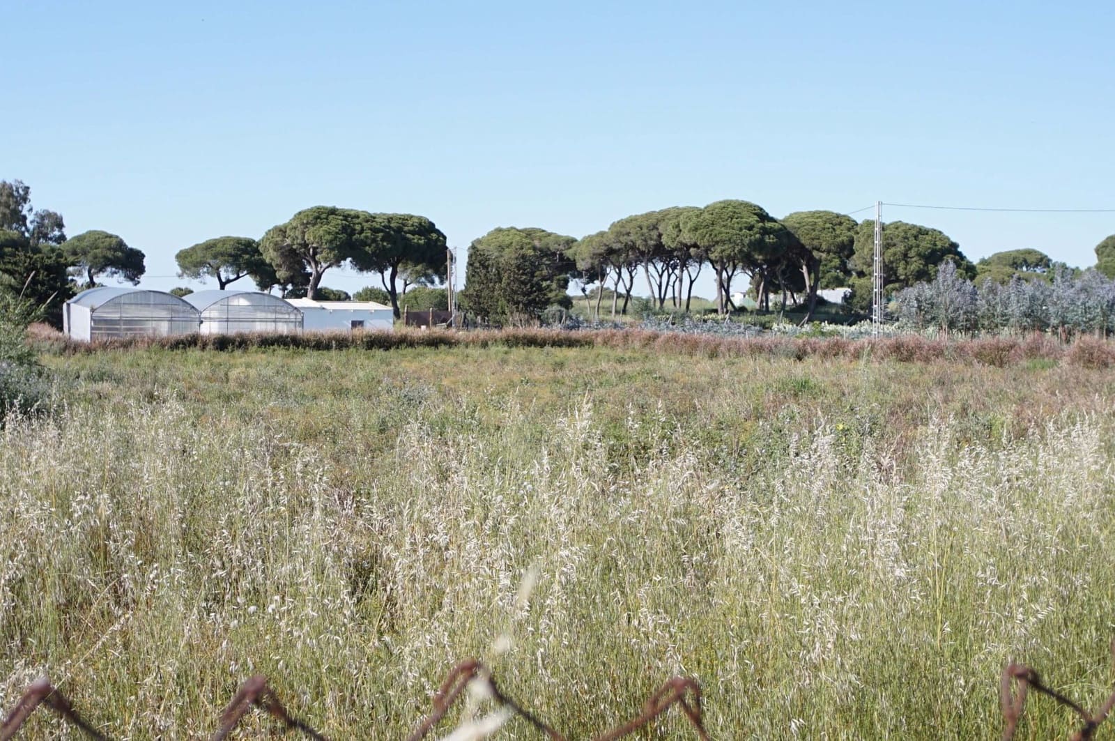 3 soverom Finca/Herregård til salgs i Chipiona - € 250 000 (Ref: 9426866)