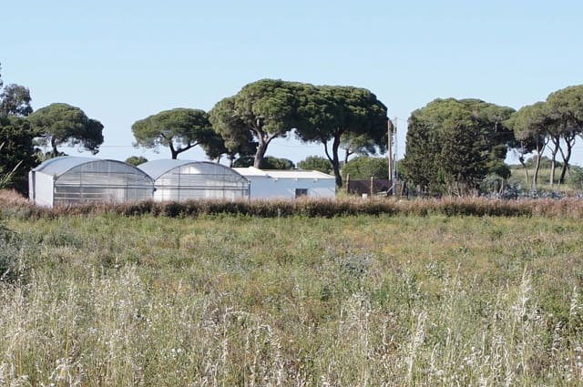 3 soverom Finca/Herregård til salgs i Chipiona - € 250 000 (Ref: 9426866)