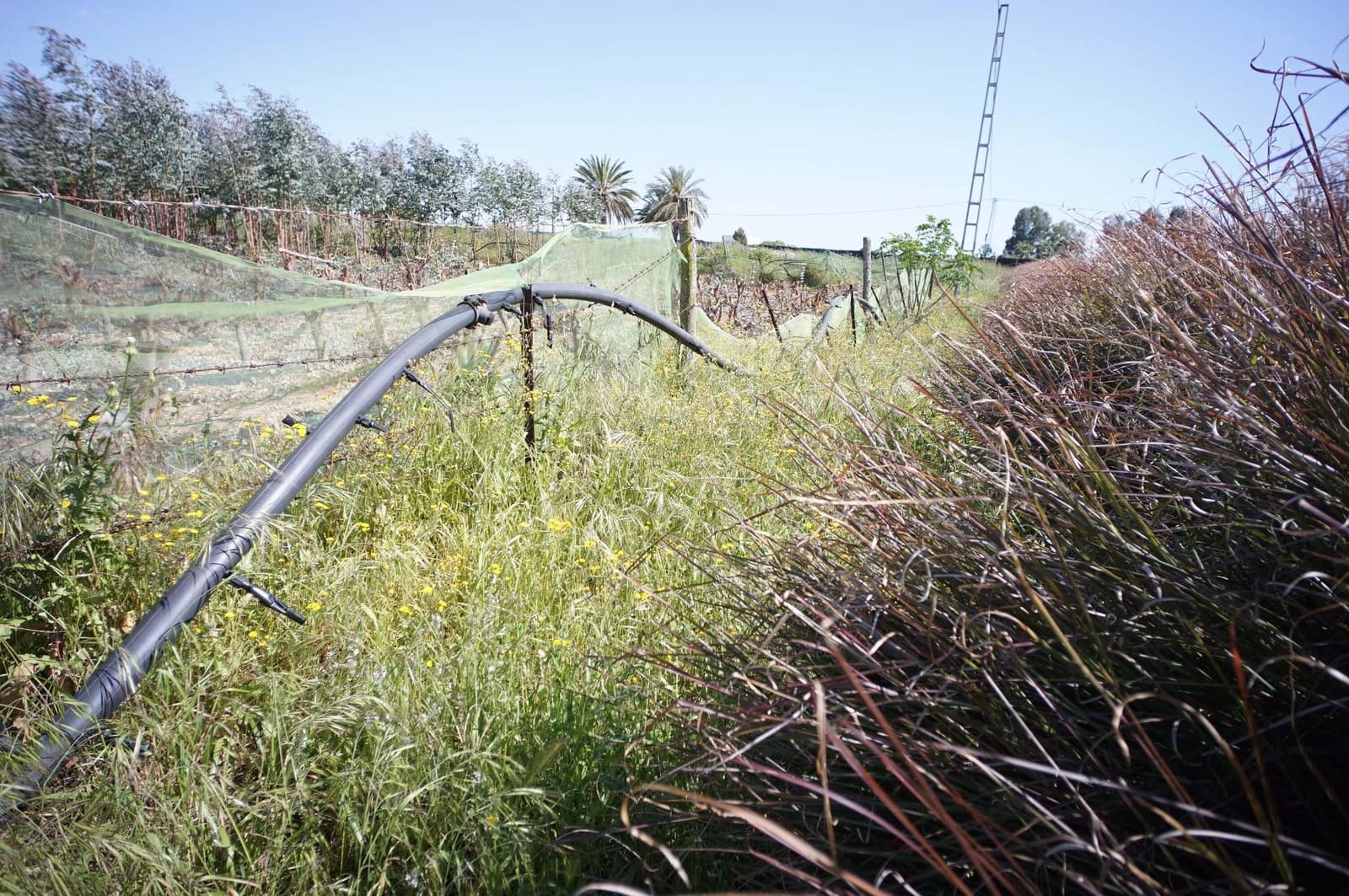 3 soverom Finca/Herregård til salgs i Chipiona - € 250 000 (Ref: 9426866)