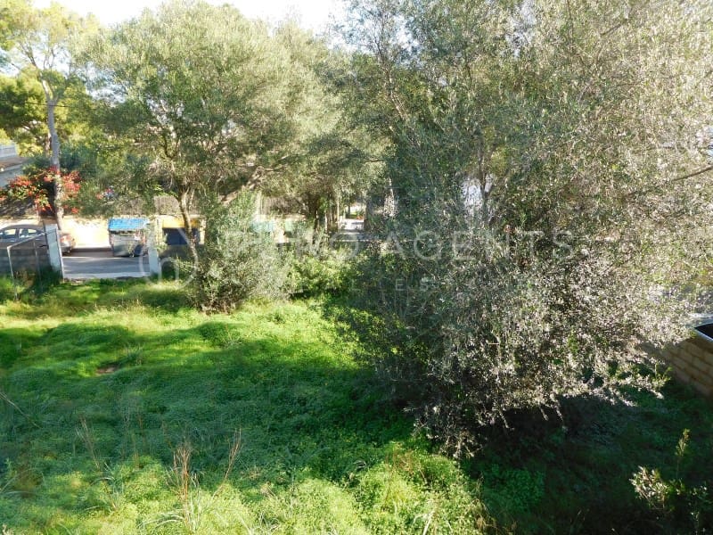 Ubebygd land til salgs i Palmanova - € 870 000 (Ref: 5424008)