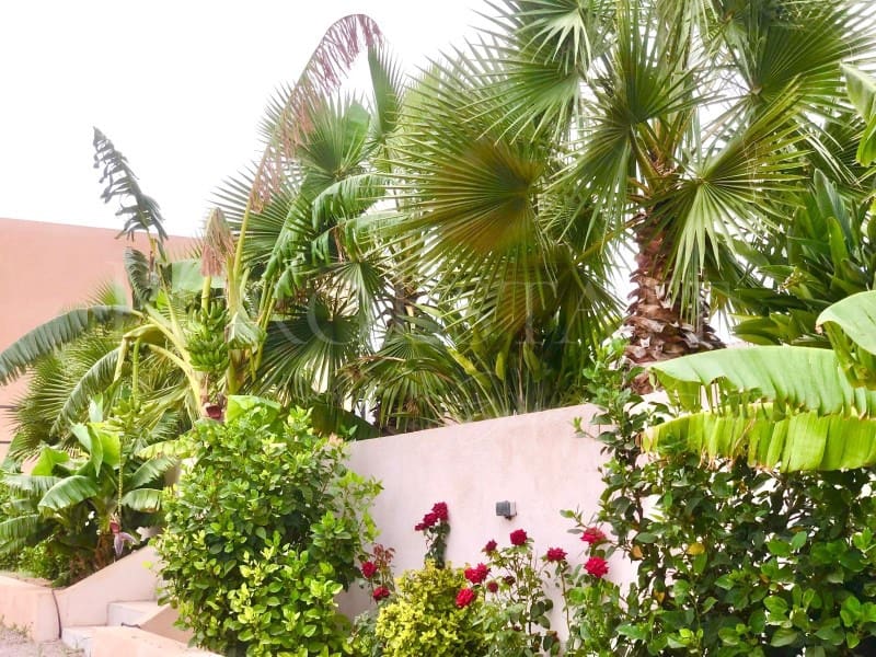 5 bedroom Finca/Country House for sale in Llucmajor with pool garage - € 2,995,000 (Ref: 6645324)