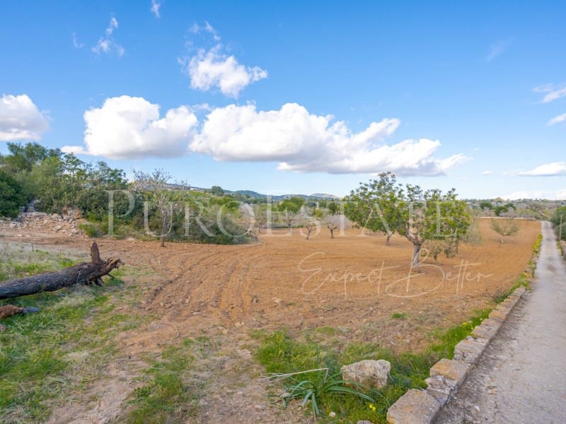 4 sypialnia Finka/Dom wiejski na sprzedaż w Cala Murada z basenem garażem - 1 490 000 € (Ref: 6675758)