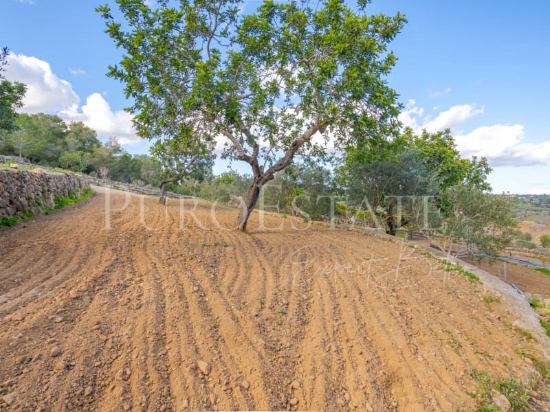 4 sypialnia Finka/Dom wiejski na sprzedaż w Cala Murada z basenem garażem - 1 490 000 € (Ref: 6675758)