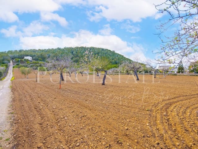 4 bedroom Finca/Country House for sale in Cala Murada, Manacor with pool garage - € 1,490,000 (Ref: 6675758)