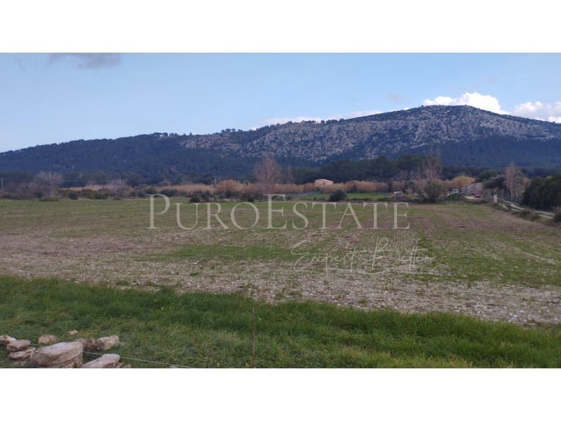 5 soveværelse Finca/Landehus til salg i Pollensa / Pollenca med garage - € 890.000 (Ref: 6763323)