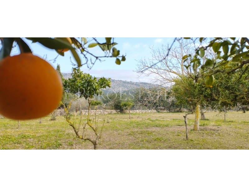 5 soveværelse Finca/Landehus til salg i Pollensa / Pollenca med garage - € 890.000 (Ref: 6763323)