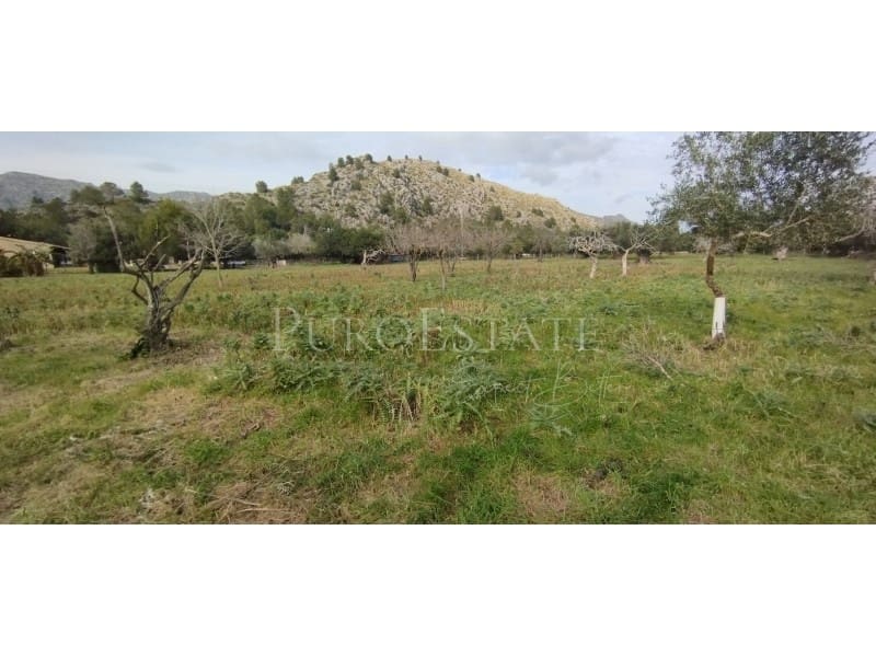 5 soveværelse Finca/Landehus til salg i Pollensa / Pollenca med garage - € 890.000 (Ref: 6763323)