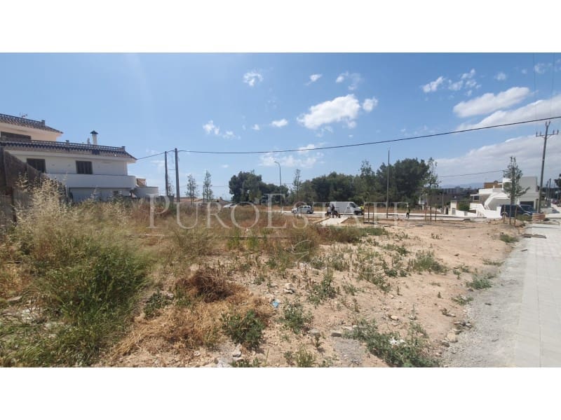 Grunde uden byggetilladelser til salg i Playa de Palma - € 880.000 (Ref: 6886452)