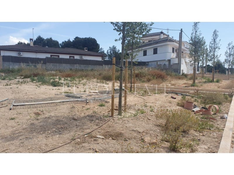 Grunde uden byggetilladelser til salg i Playa de Palma - € 880.000 (Ref: 6886452)