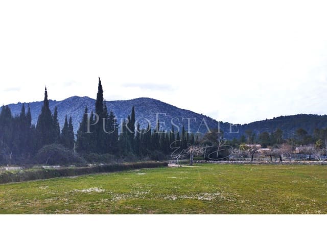 Mark till salu i Pollensa / Pollença - 60 000 € (Ref: 7404731)