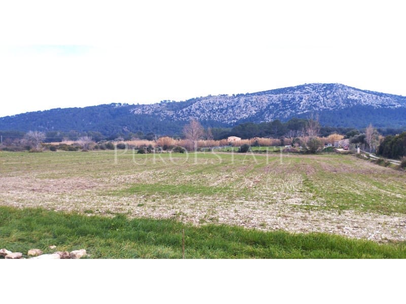 Ubebygd land til salgs i Pollensa / Pollenca - € 60 000 (Ref: 7404731)