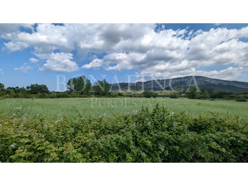 Ubebygd land til salgs i Pollensa / Pollenca - € 60 000 (Ref: 7404731)