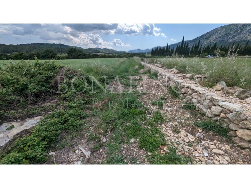 Ubebygd land til salgs i Pollensa / Pollenca - € 60 000 (Ref: 7404731)