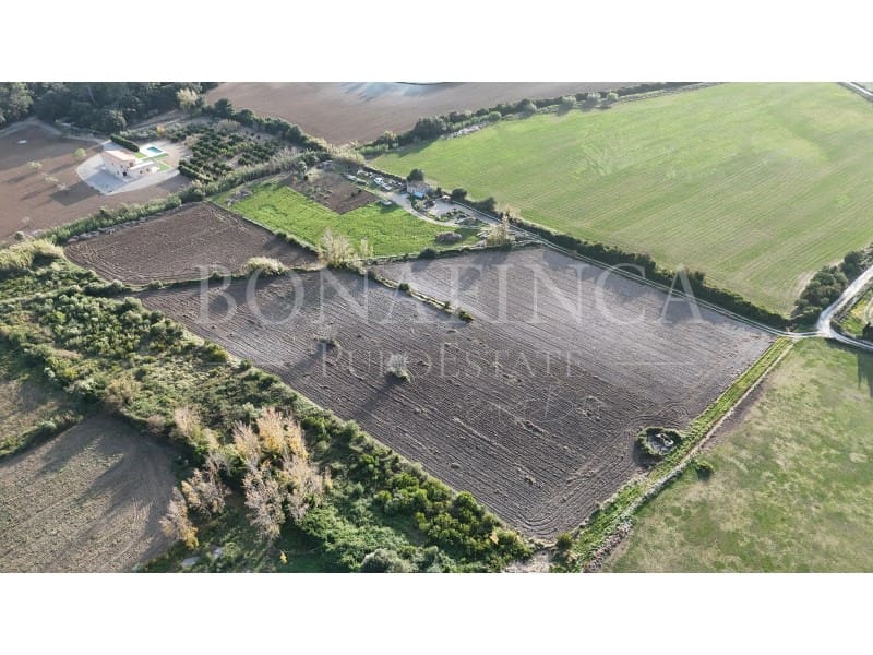 Ubebygd land til salgs i Pollensa / Pollenca - € 60 000 (Ref: 7404731)