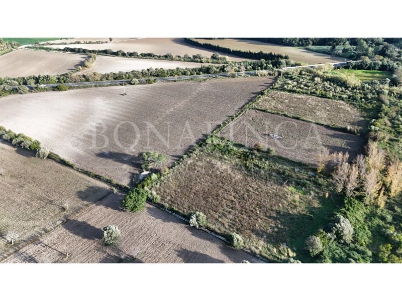Ubebygd land til salgs i Pollensa / Pollenca - € 60 000 (Ref: 7404731)