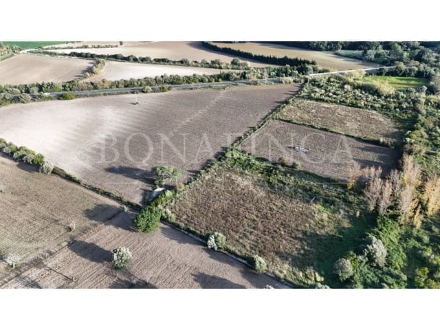 Mark till salu i Pollensa / Pollença - 60 000 € (Ref: 7404731)