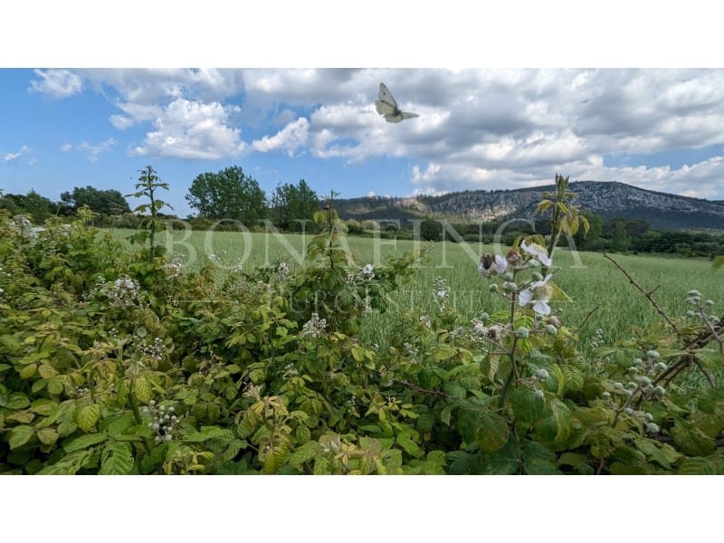 Ubebygd land til salgs i Pollensa / Pollenca - € 107 000 (Ref: 7576218)