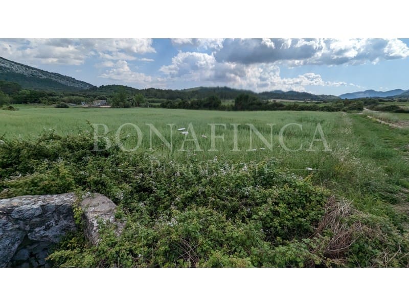 Ubebygd land til salgs i Pollensa / Pollenca - € 107 000 (Ref: 7576218)