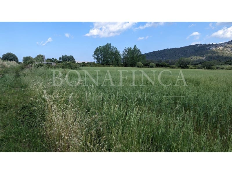 Ubebygd land til salgs i Pollensa / Pollenca - € 107 000 (Ref: 7576218)