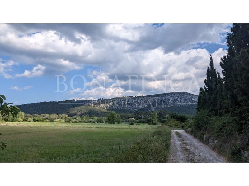 Ubebygd land til salgs i Pollensa / Pollenca - € 107 000 (Ref: 7576218)