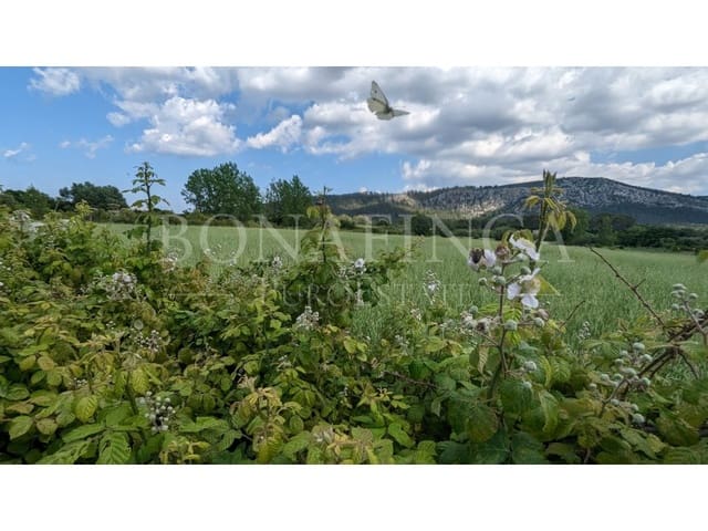 Grond te koop in Pollensa / Pollença - € 107.000 (Ref: 7576218)