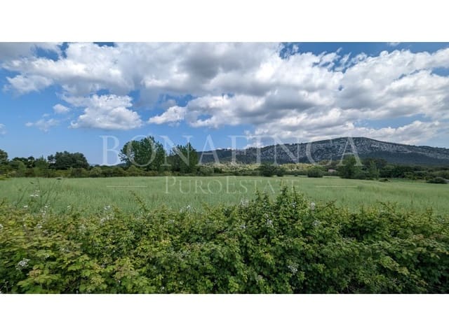 Grond te koop in Pollensa / Pollença - € 107.000 (Ref: 7576218)