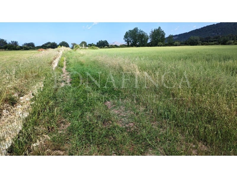 Ubebygd land til salgs i Pollensa / Pollenca - € 107 000 (Ref: 7576218)