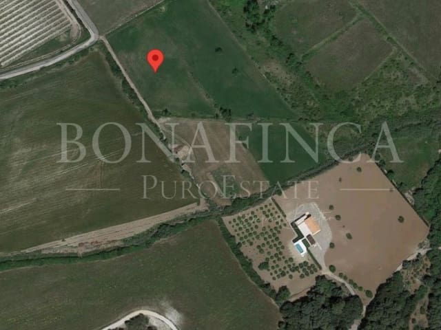 Grond te koop in Pollensa / Pollença - € 107.000 (Ref: 7576218)