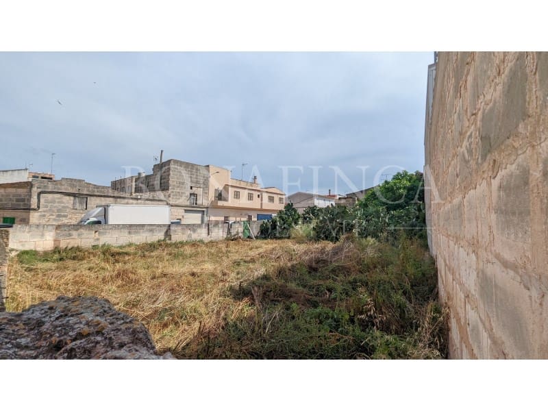 Area Edificabile in vendita in Manacor - 550.000 € (Rif: 7620266)