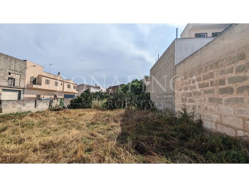 Area Edificabile in vendita in Manacor - 550.000 € (Rif: 7620266)