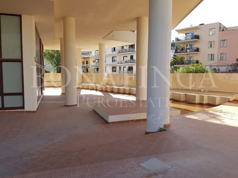 Erhverv til salg i Palma de Mallorca med swimmingpool - € 1.750.000 (Ref: 7666184)