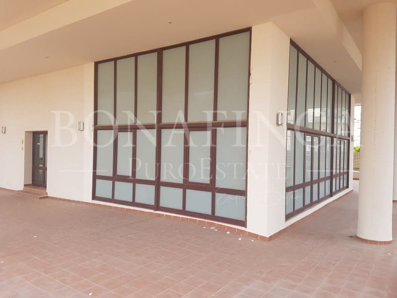 Erhverv til salg i Palma de Mallorca med swimmingpool - € 1.750.000 (Ref: 7666184)