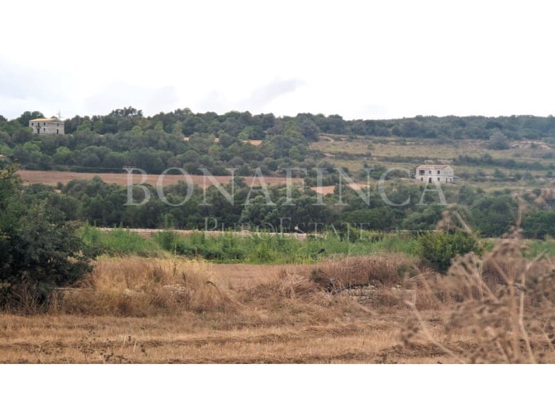 Mark till salu i Manacor - 374 000 € (Ref: 7811929)